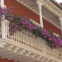 look at the beautiful flowers on this balcony